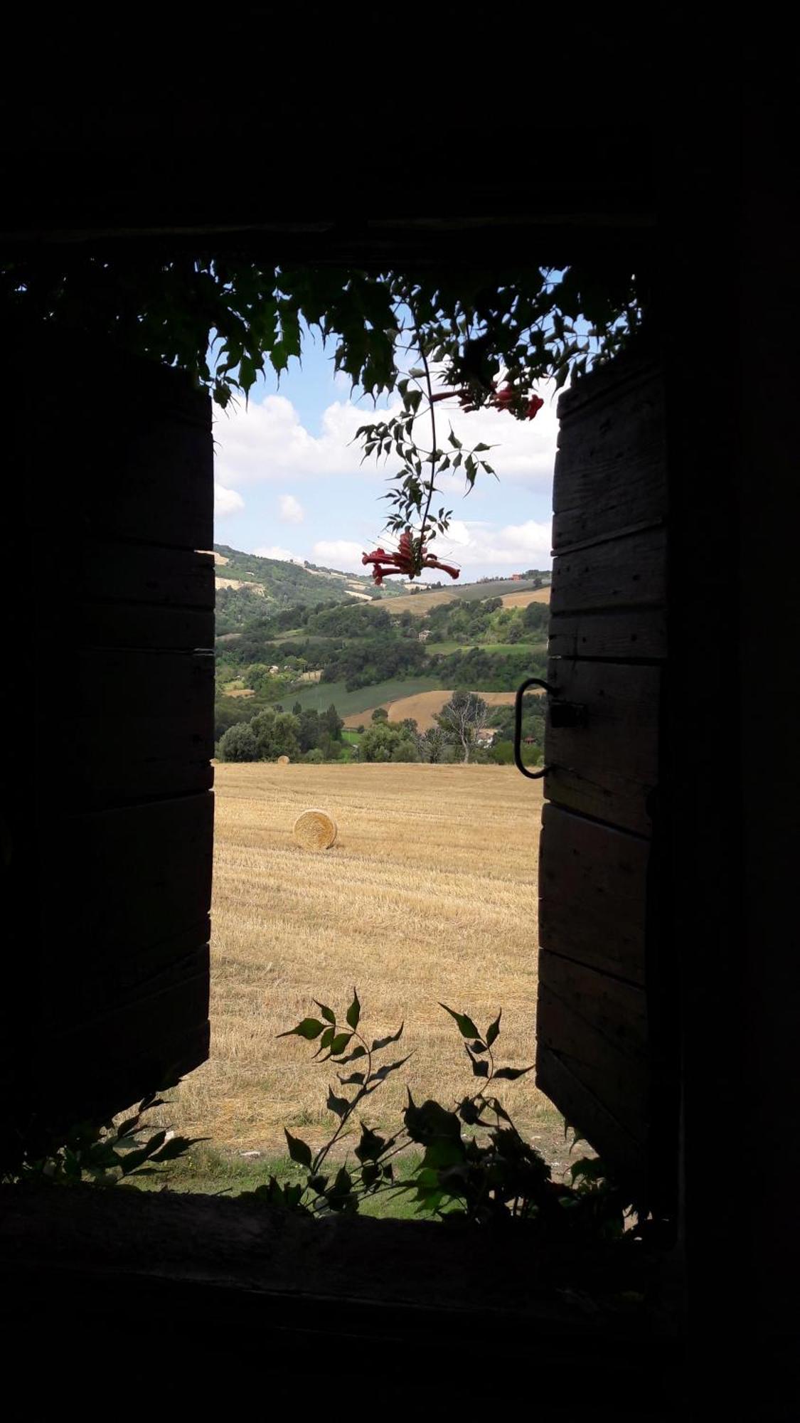 Bed and Breakfast Le Bumbarelle Tavoleto Exterior foto