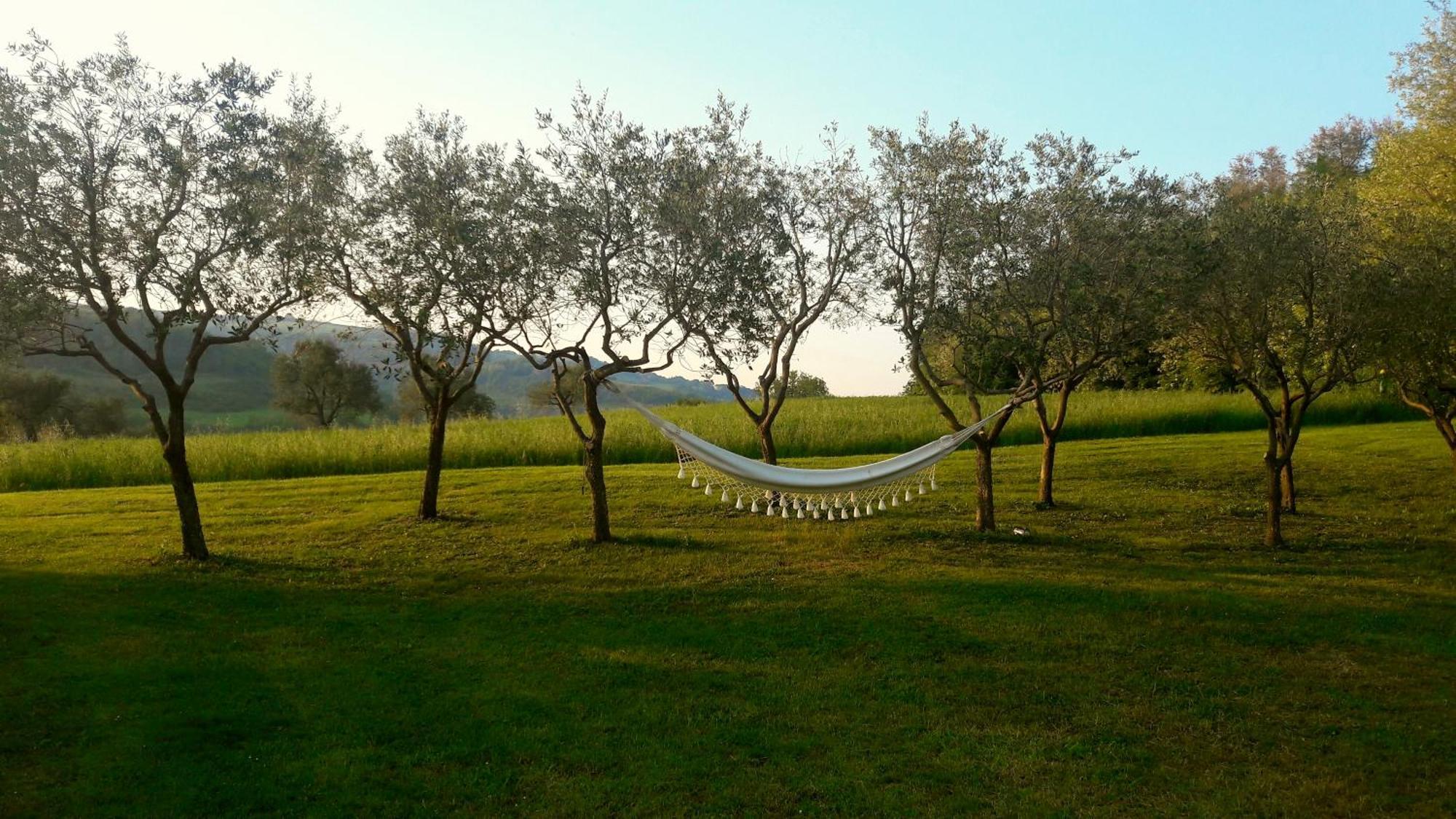 Bed and Breakfast Le Bumbarelle Tavoleto Exterior foto