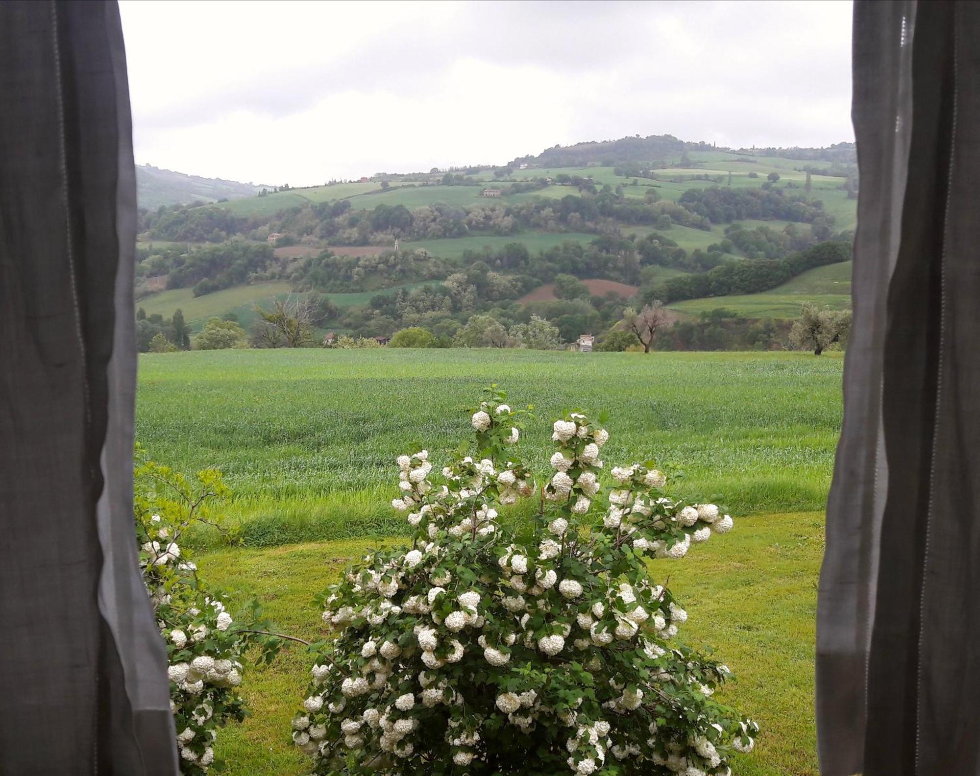 Bed and Breakfast Le Bumbarelle Tavoleto Exterior foto